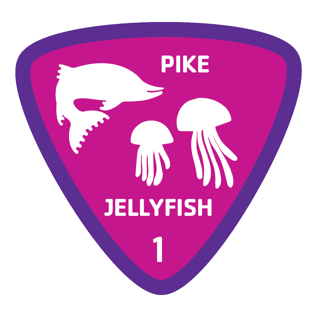aquatics-badge-1-pike-jellyfish